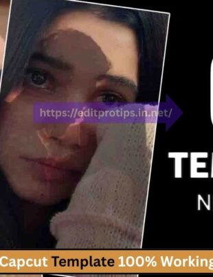 Teri Meri Capcut Template 100% Working Editprotips in Capcut