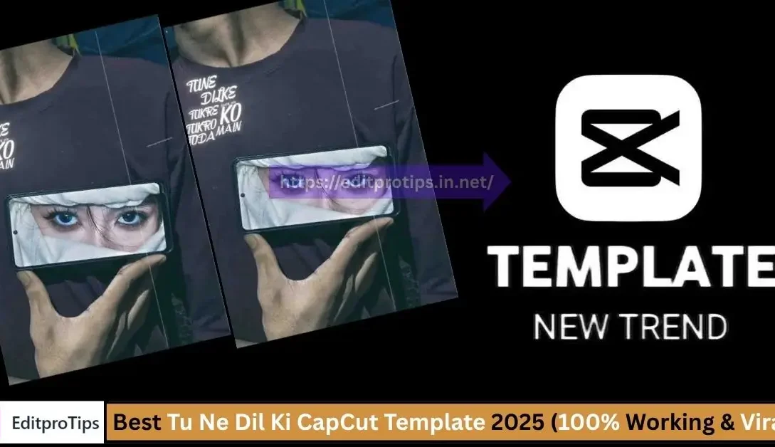 Best Tu Ne Dil Ki CapCut Template 2025 (100% Working & Viral)