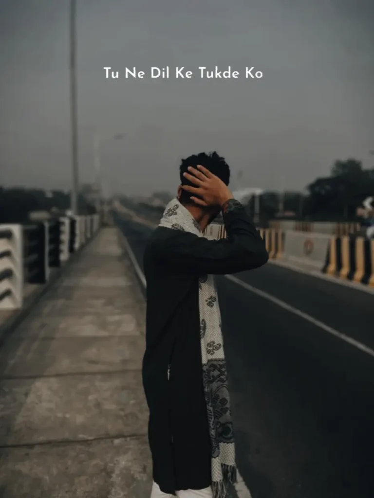 Tune dil ke tukde ko capcut template trend