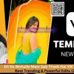 Dil Ke Mohalle Mein Sab Theek Hai VN Template – Best Trending & Powerful Edits (2025)