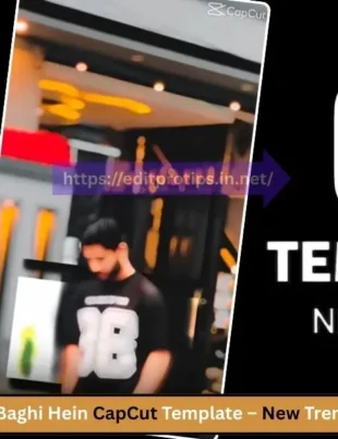 Hum Baghi Hein CapCut Template – New Trending Template of 2025