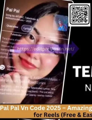 Pal Pal Vn Code 2025 – Amazing Viral Trend for Reels (Free & Easy)