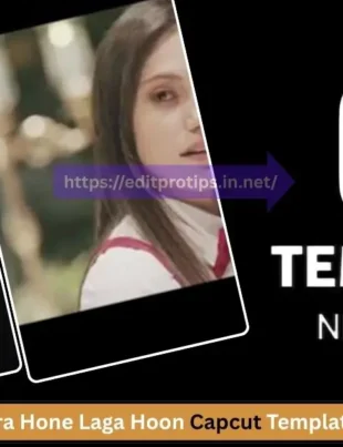 Tera Hone Laga Hoon Capcut Template (100% Working)